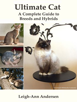 cover image of Ultimate Cat